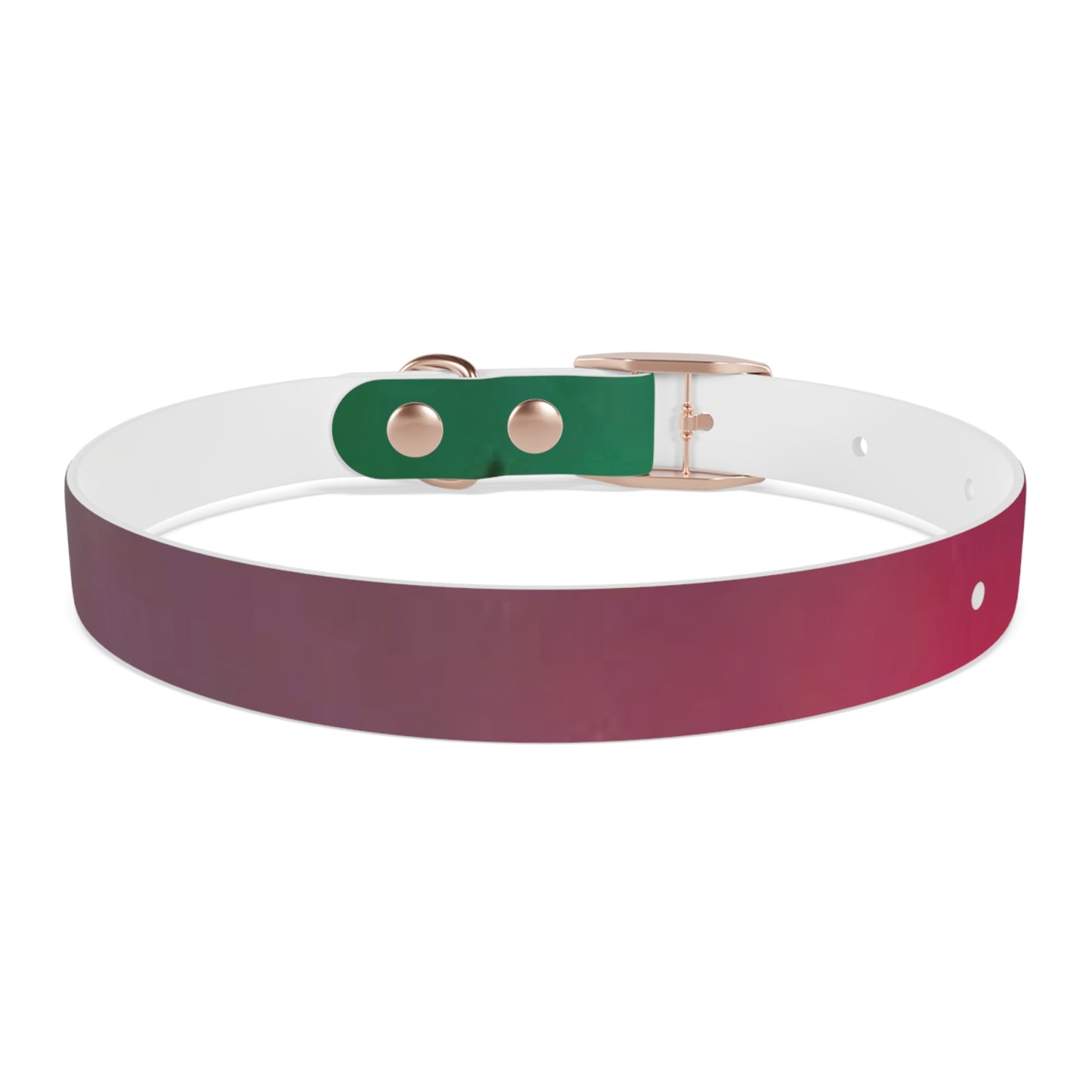 Gradient Teal-to-Rose Dog Collar — Stylish Ombre Pet Collar