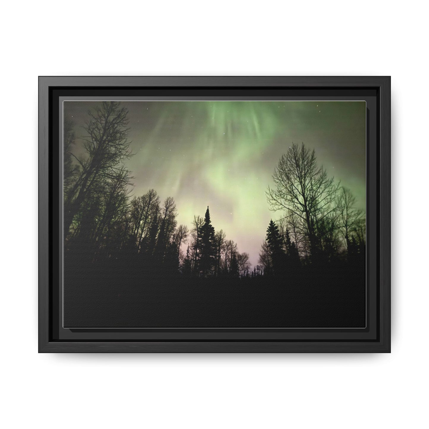 Aurora Forest Matte Canvas Framed Wall Art — Northern Lights Landscape
