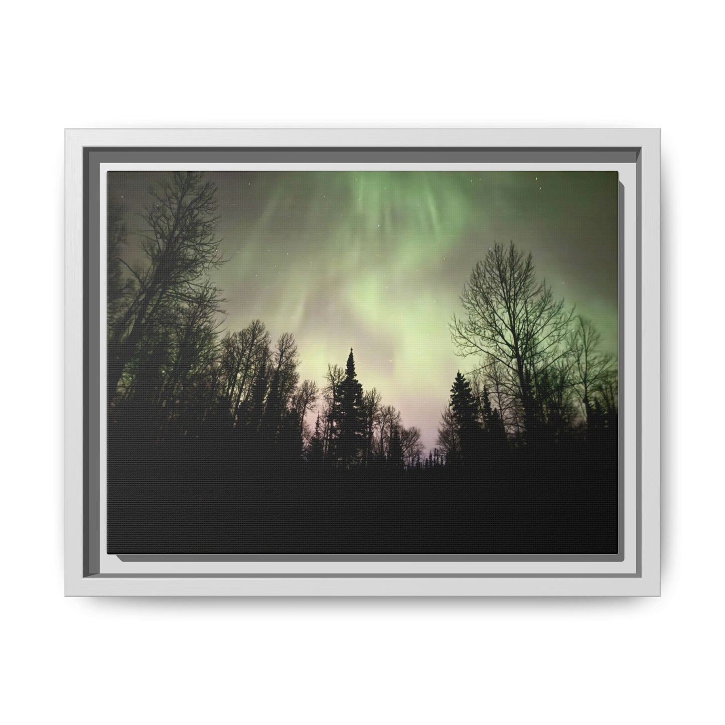 Aurora Forest Matte Canvas Framed Wall Art — Northern Lights Landscape