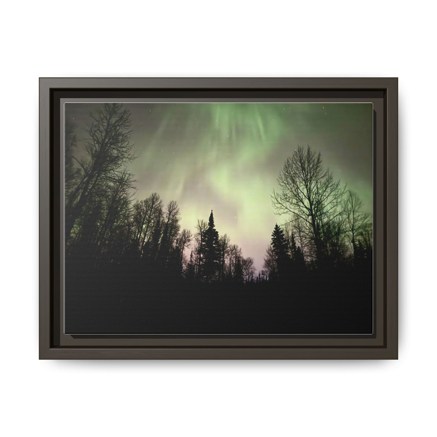 Aurora Forest Matte Canvas Framed Wall Art — Northern Lights Landscape