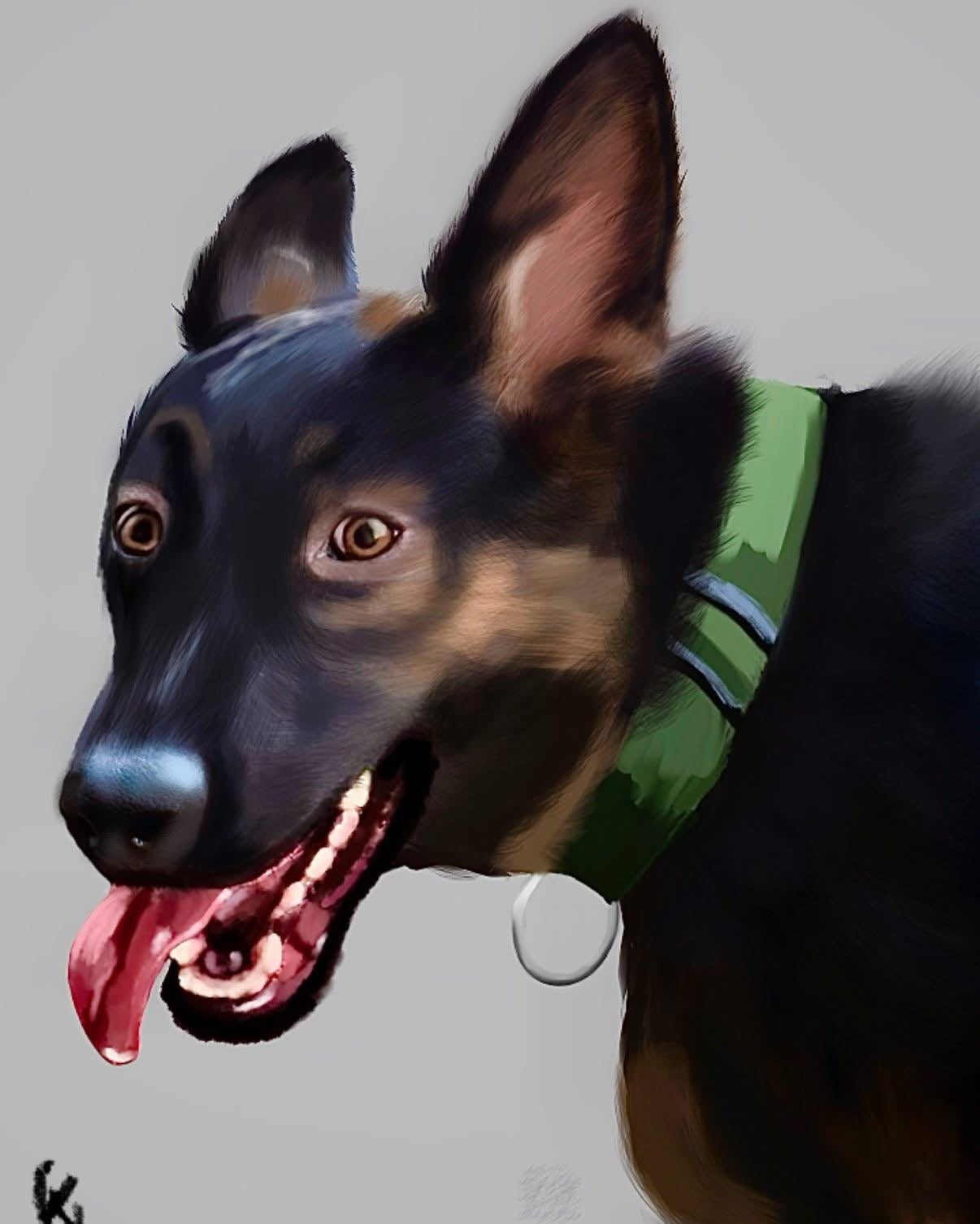 Custom pet portraits.