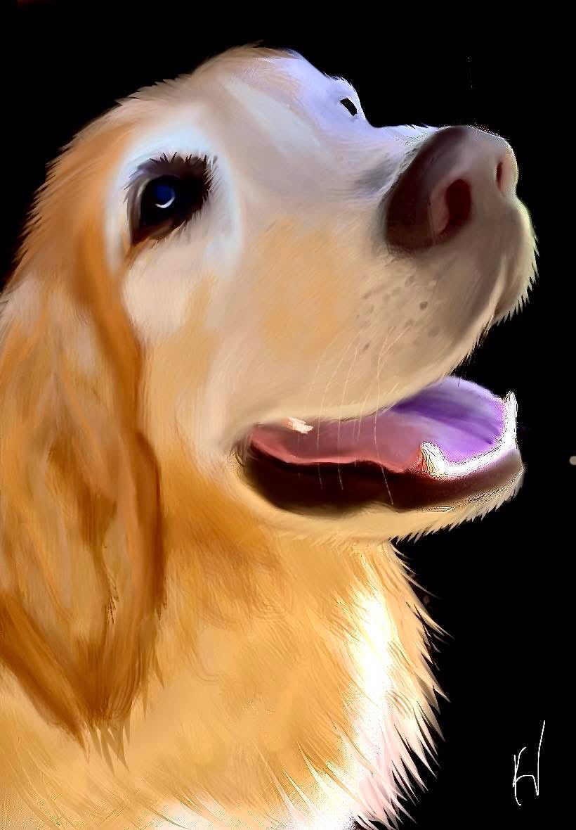 Custom pet portraits.