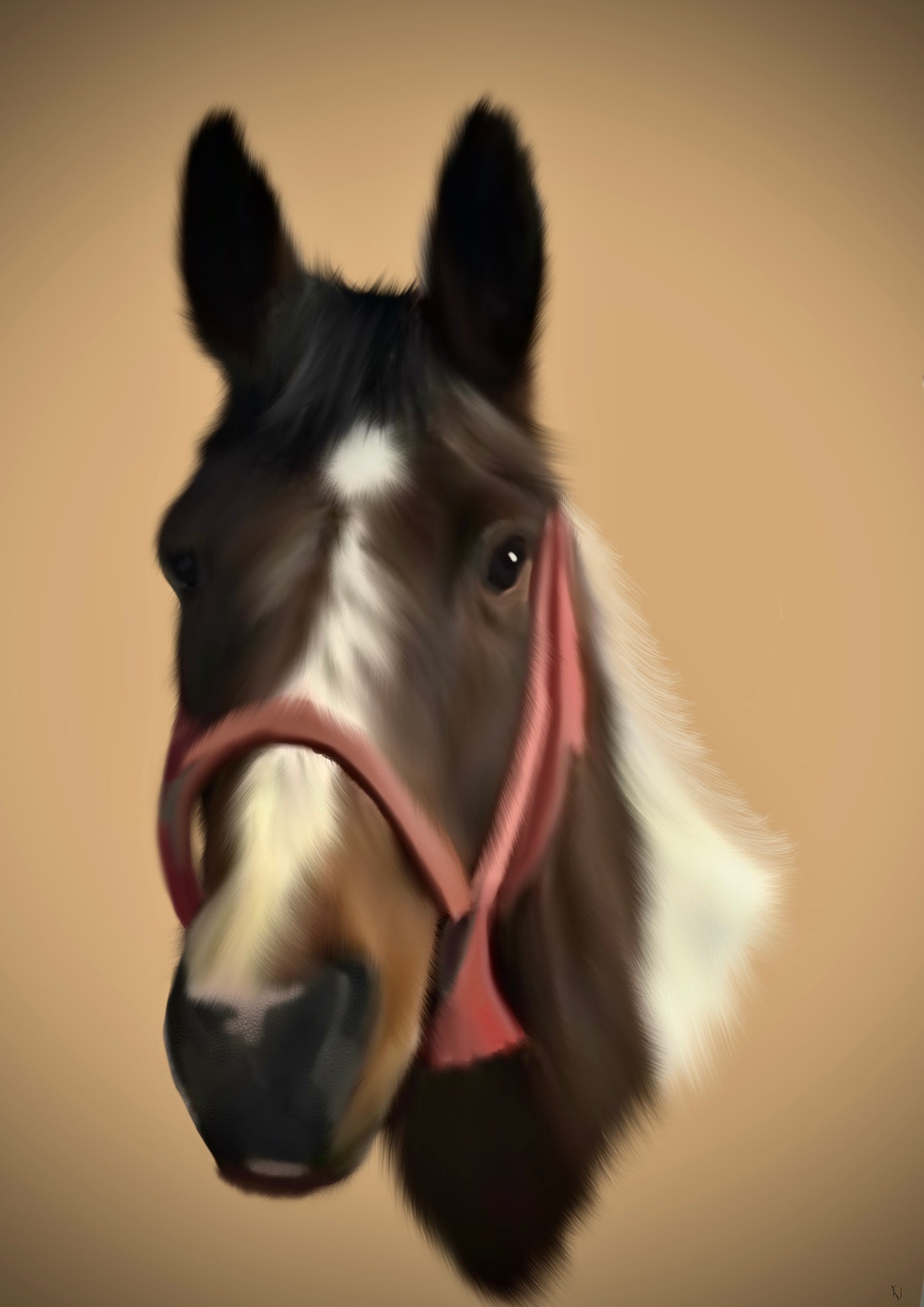 Custom pet portraits.