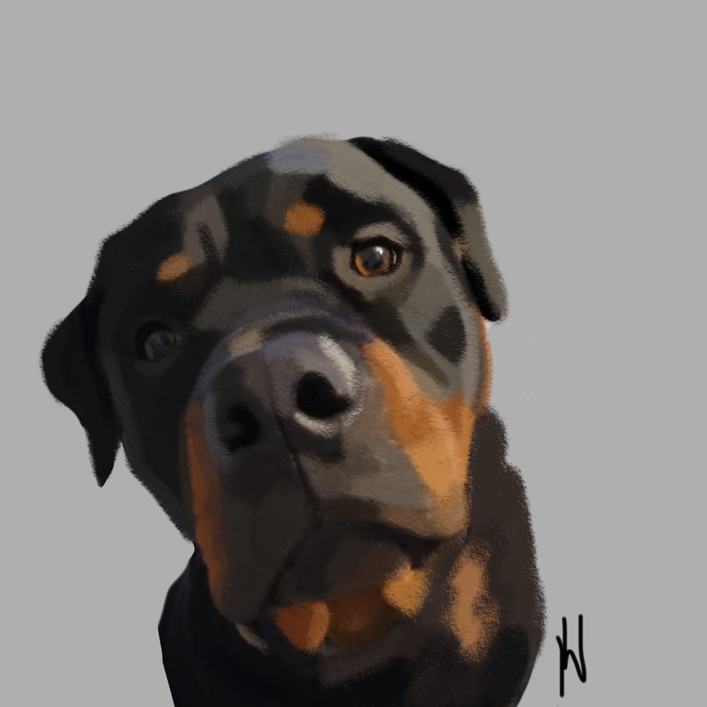 Custom pet portraits.