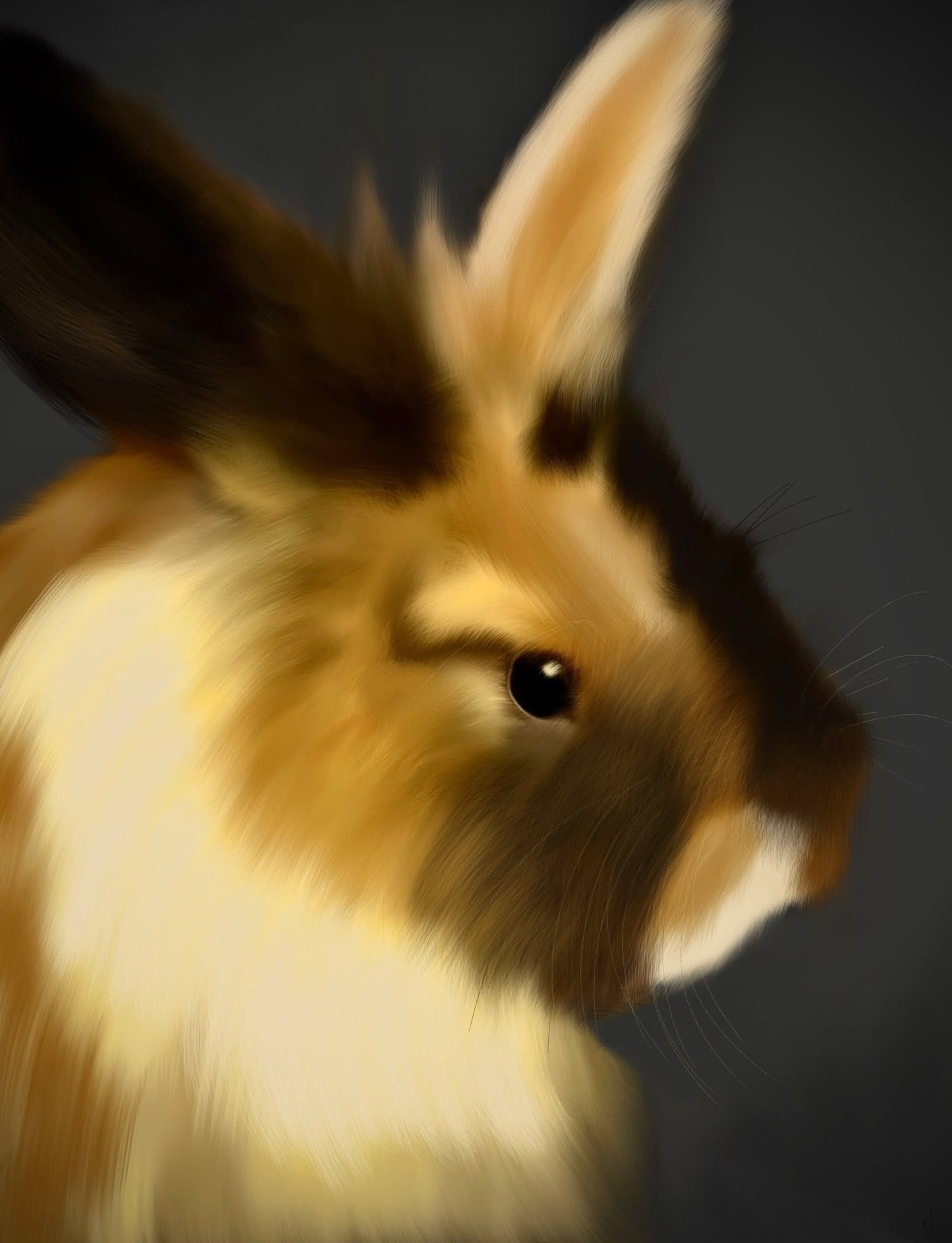 Custom pet portraits.