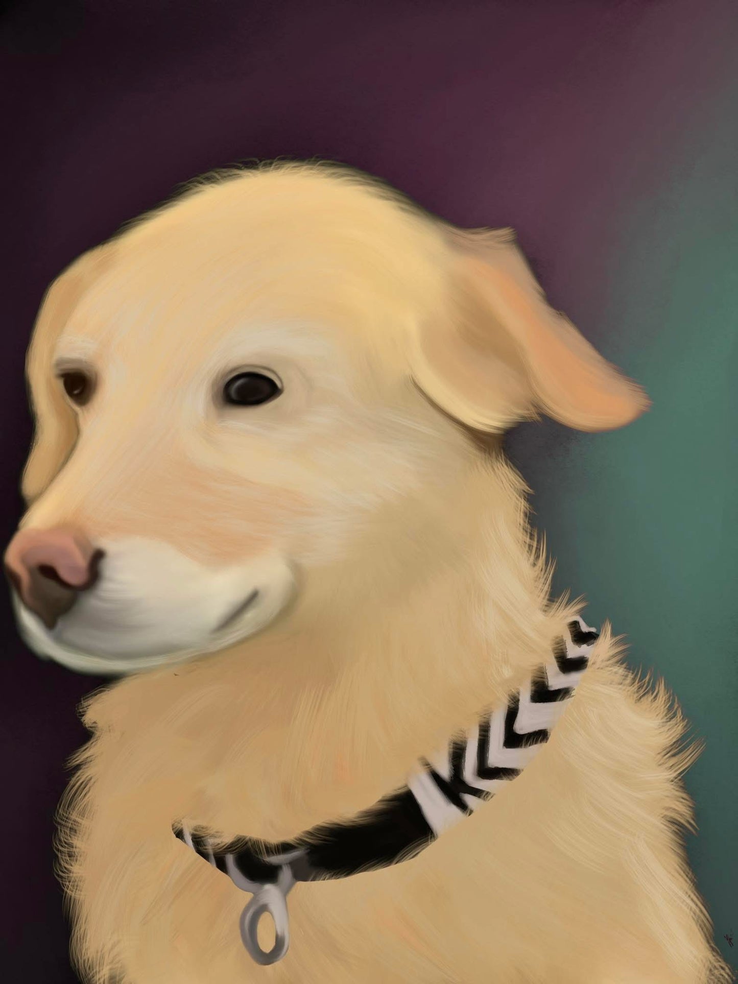 Custom pet portraits.